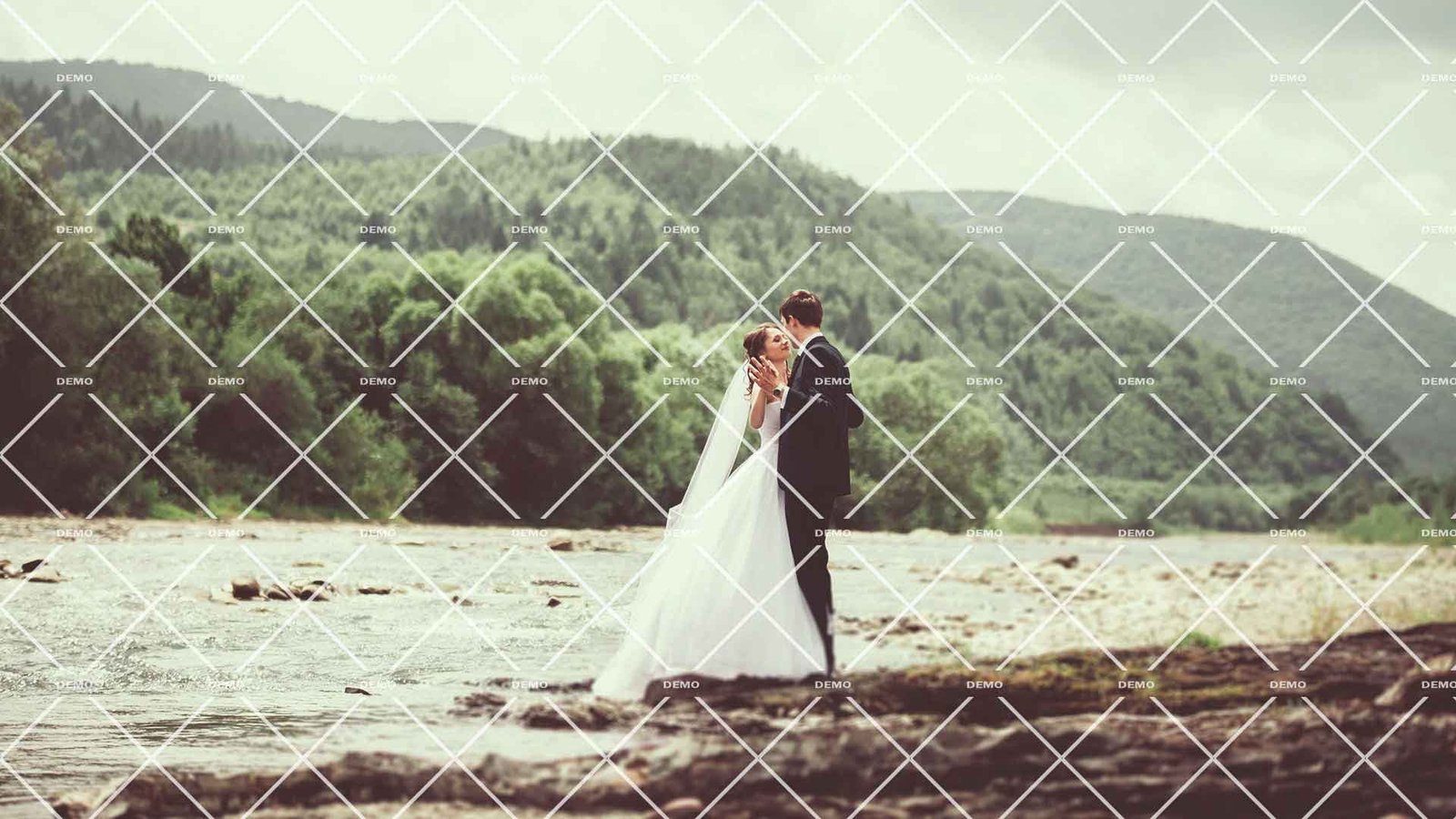 shutterstock_382187041-min.jpg